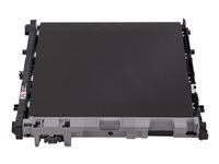 Brother BU800CL - Overførselsbælte for printer - for Brother HL-L9410, MFC-L9610, L9670; Workhorse HL-EX470, L9430, L9470, MFC-EX670, L9630 BU800CL