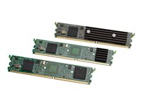 Cisco 64-Channel High-Density Packet Voice and Video Digital Signal Processor Module - DSP-talemodul - DIMM 240-pin - for Cisco 2901, 2911, 2921, 2951, 3925, 3925E, 3945, 3945E PVDM3-64=