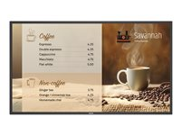 Philips 43BDL6017P - 43" Diagonal klasse (42.5" til at se) - P-Line 6000 Series LED-bagbelyst LCD paneldisplay - digital skiltning - 4K UHD (2160p) 3840 x 2160 43BDL6017P/00