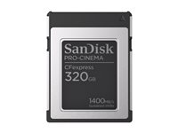 SanDisk PRO-CINEMA - Flashhukommelseskort - 320 GB - CFexpress Type B SDCFEC-320G-GN4NN