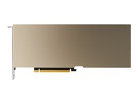 NVIDIA A30 - GPU beregningsprocessor - A30 - 24 GB HBM2 - PCIe 4.0 x16 - blæserløs TCSA30M-PB