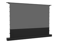 Multibrackets M - Projektor skærm med gulvholder - LS, elektrisk, stigende, RS232 - fritstående - motoriseret - 100" (254 cm) - 16:9 - ALR UST - sort 7350105218613