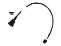 HP - Adaptersæt til lagring - USB 2.0 - for Workstation Z4 G5 79C24AA