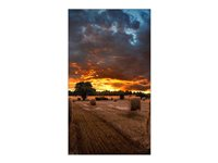 Samsung VM46B-U - 46" Diagonal klasse VMB-U Series LED-bagbelyst LCD paneldisplay - digital skiltning - 1080p 1920 x 1080 LH46VMBUBGBXEN