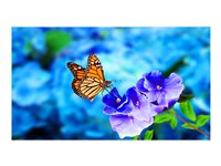 NEC MultiSync UN552VS - 55" Diagonal klasse LED-bagbelyst LCD paneldisplay - interaktiv digital skiltning - 1080p 1920 x 1080 - direkte belyst LED - sort 60004524