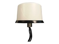 Cisco Dual LTE-Single GPS Multi-band - Antenne - mobil - 2.5 dBi - omni-directional - udendørs, indendørs - rød - for Cisco 819, 819 4G, 819 M2M 4G-LTE-ANTM-O-3-R=