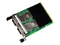 Intel Ethernet Network Adapter E810-CQDA2 - netværksadapter - OCP 3.0 - 100 Gigabit QSFP28 x 2 E810CQDA2OCPV3G