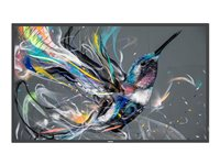 Philips 43BDL3511Q - 43" Diagonal klasse (42.5" til at se) - Q-Line LED-bagbelyst LCD paneldisplay - digital skiltning - 4K UHD (2160p) 3840 x 2160 43BDL3511Q/00
