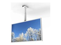 HI-ND - Monteringssæt (etui) - for fladt panel - landskab - hvid - skærmstørrelse: 50" - loftsmonterbar CC5012-0201-01