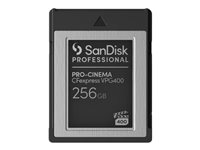 SanDisk Professional - Flashhukommelseskort - 256 GB - CFexpress Type B - sort SDPCVN4-256G-GNANN