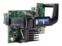 HPE FlexFabric 536FLB - Netværksadapter - PCIe 3.0 x8 - 10Gb Ethernet x 2 - remarketed - for ProLiant BL460c Gen10, BL460c Gen9, WS460c Gen9 766490R-B21