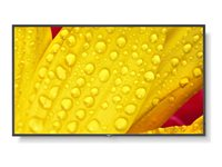 NEC MultiSync M551-2 - 55" Diagonal klasse (54.5" til at se) - M Series LED-bagbelyst LCD paneldisplay - digital skiltning - med indbygget medieafspiller / valgfri slot-in PC funktionalitet - 4K UHD (2160p) 3840 x 2160 - HDR - direkte belyst LED - pantone 426M 60006085