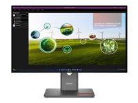 Lenovo ThinkVision P27Q-40 - LED-skærm - QHD - 27" 64A7GAT6EU