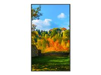 NEC MultiSync m551 - 55" Diagonal klasse M Series LED-bagbelyst LCD paneldisplay - digital skiltning - med berøringsskærm (multi-berøring) - 4K UHD (2160p) 3840 x 2160 - HDR - kantbelyst - sort, pantone 426M 60005082