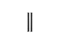 APC - Rack-kabel styrepanel - sort - 42U - TAA-kompatibel (pakke med 2) - for P/N: AR9300SP, AR9300SP-R, SMX3000HVTUS, SMX3000LVUS, SRT1000RMXLI, SRT1000RMXLI-NC AR7721