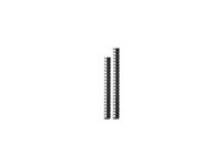 APC - Rack-kabel styrepanel - sort - 45U - TAA-kompatibel (pakke med 2) - for P/N: NBPD0160A, NBWL0355A, NBWL0356A, SMX3000HV-BR, SRT1000RMXLI, SRT1500RMXLA-NC AR7722
