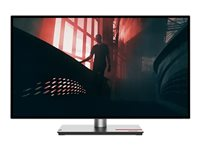 Lenovo ThinkVision P27q-30 - LED-skærm - QHD - 27" 63A2GAT1EU