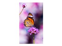 NEC MultiSync UN552VS - 55" Diagonal klasse LED-bagbelyst LCD paneldisplay - interaktiv digital skiltning - 1080p 1920 x 1080 - direkte belyst LED - sort 60004524