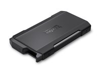 SanDisk Professional PRO-BLADE - Lagringspakning - USB 3.2 (Gen 2x2) SDPM2NB-0000-GBAND