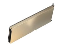 NVIDIA A10 - GPU beregningsprocessor - A10 - 24 GB GDDR6 - PCIe 4.0 - for ProLiant DL345 Gen10 Plus, DL380 Gen10 Plus R9W59C