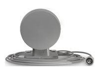 Cisco Meraki - Antenne - navigation - 2 dBi - omni-directional - udendørs, Til montering på væg, stangmontering CW-ANT-GPS2-S-00