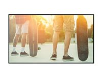 NEC MultiSync P435 PG-2 - 43" Diagonal klasse P Series LED-bagbelyst LCD paneldisplay - digital skiltning - 4K UHD (2160p) 3840 x 2160 - kantbelyst - sort, pantone 426M 60005857