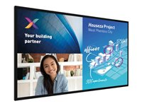 Philips 65BDL6051C - 65" Diagonal klasse (64.5" til at se) - C-Line LED-bagbelyst LCD paneldisplay - interaktiv digital skiltning - med berøringsskærm (multi-berøring) - 4K UHD (2160p) 3840 x 2160 65BDL6051C/00