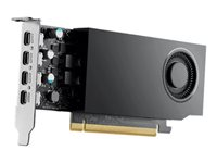 NVIDIA RTX A1000 - Grafikkort - RTX A1000 - 8 GB GDDR6 - PCIe 4.0 x8 - 4 x Mini DisplayPort DELL-M3R8K
