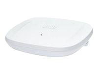 Cisco Catalyst 9166D1 - Trådløs forbindelse - 1GbE, 2.5GbE, 5GbE - Wi-Fi 6E, Bluetooth - 2.4 GHz, 5 GHz, 6 GHz CW9166D1-ROW