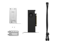 NVIDIA RTX 2000 Ada - Grafikkort - NVIDIA RTX 2000 Ada - 16 GB GDDR6 - PCIe 4.0 x8 lavprofil - 4 x DisplayPort 4X61P69962