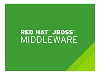 Red Hat JBoss Application Administration I Online - web-oplæring - 8 træningsenheder JB248R